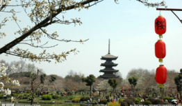 樱园漫画,描绘青春校园的温馨与成长